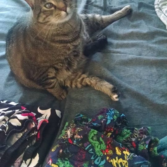 Meet your posher! I'm Hope, from Five To Thrifty! - Picture 2 of 5